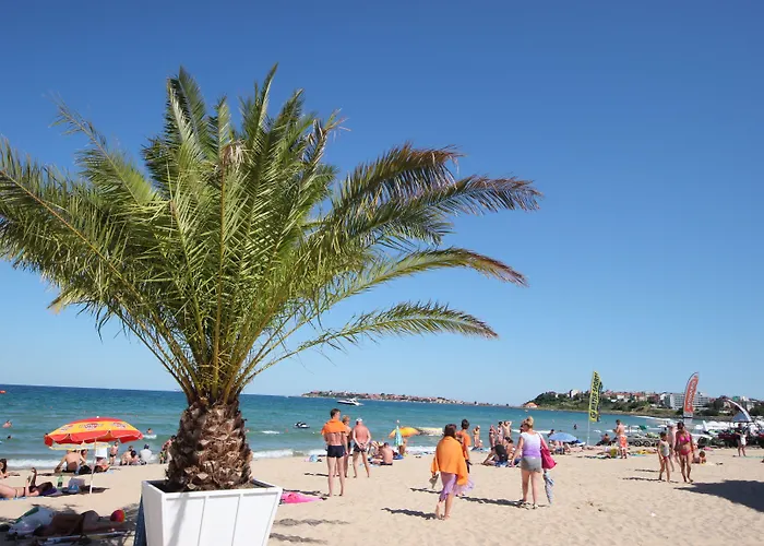 Menada Diamant Słoneczny Brzeg